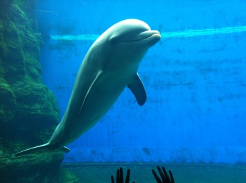 photo 567771