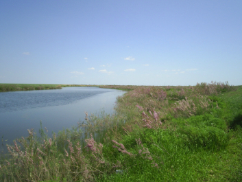 photo 702455
