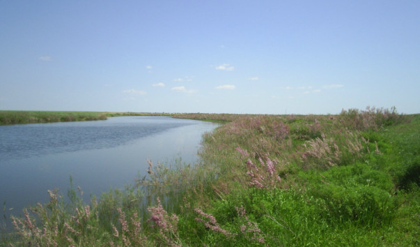 PIC_0058