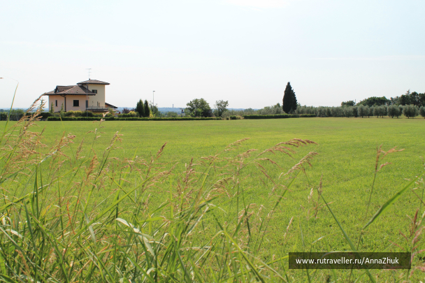 photo 699243