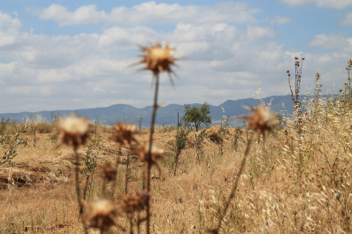 photo 699850