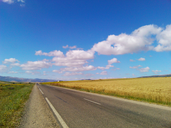 photo 699853