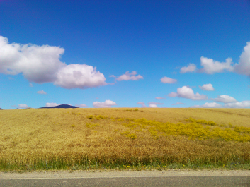 photo 699854