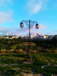 photo 699858