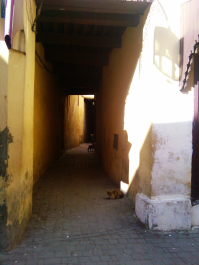 photo 699870