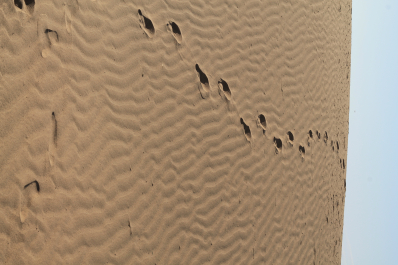 photo 716433