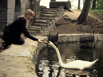 photo 45672