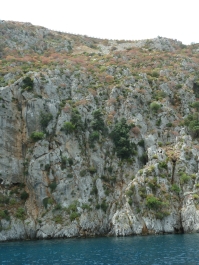 photo 788735