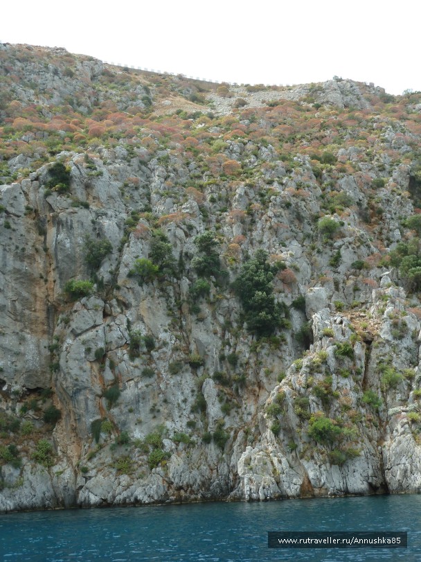 photo 788735