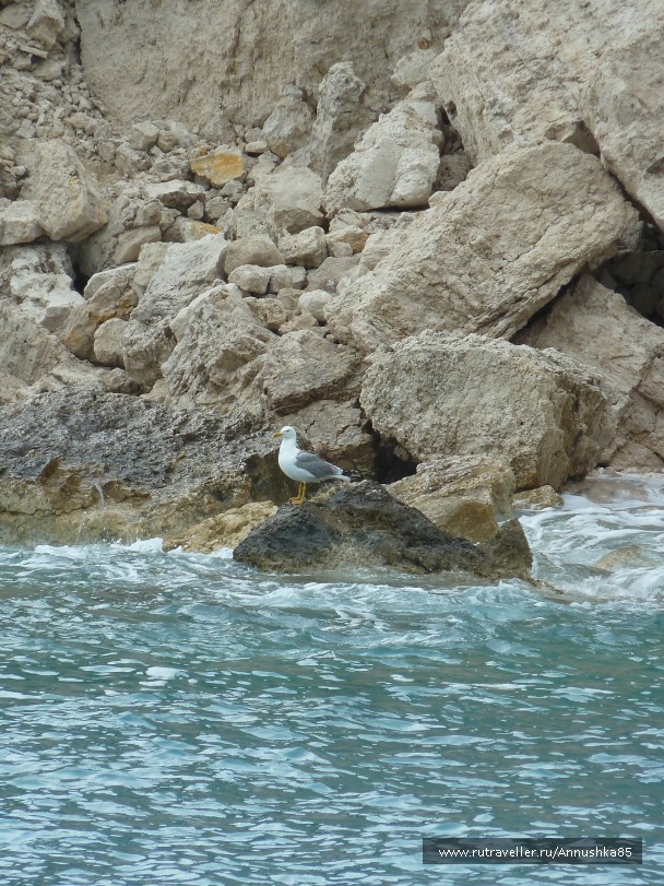 photo 788750