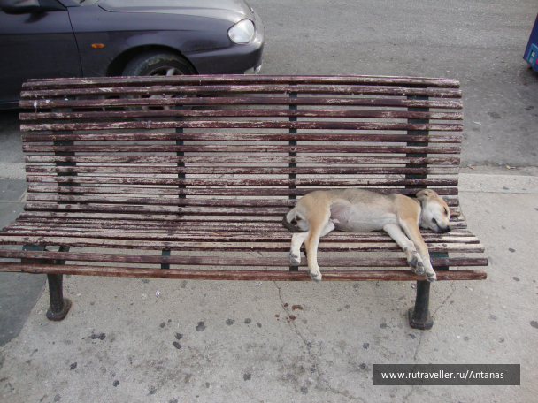 photo 705761