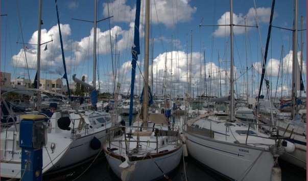 534593da23ec4.jpg