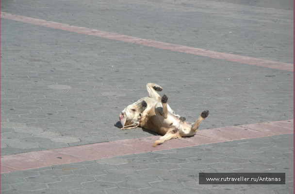 photo 708015