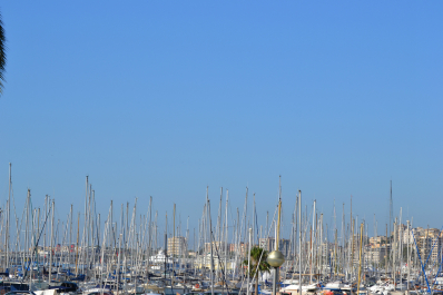 photo 690785
