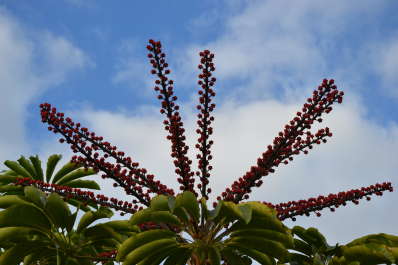 photo 685384