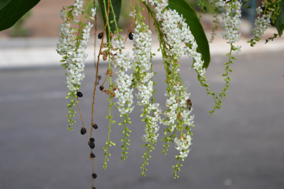 photo 685391