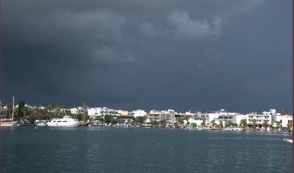 DSC_0271