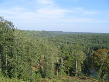 photo 698949