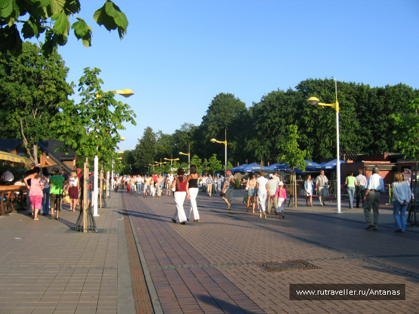 photo 699643