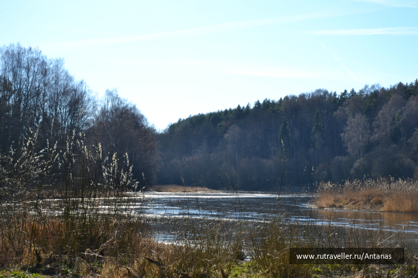 photo 702945