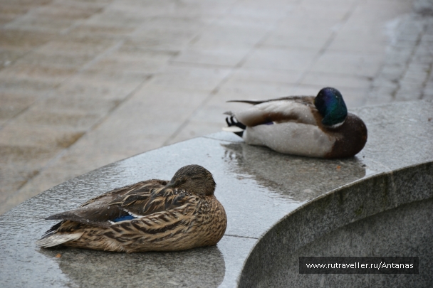 photo 737043