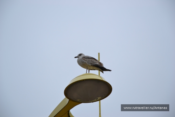 photo 737044
