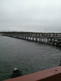 photo 737715