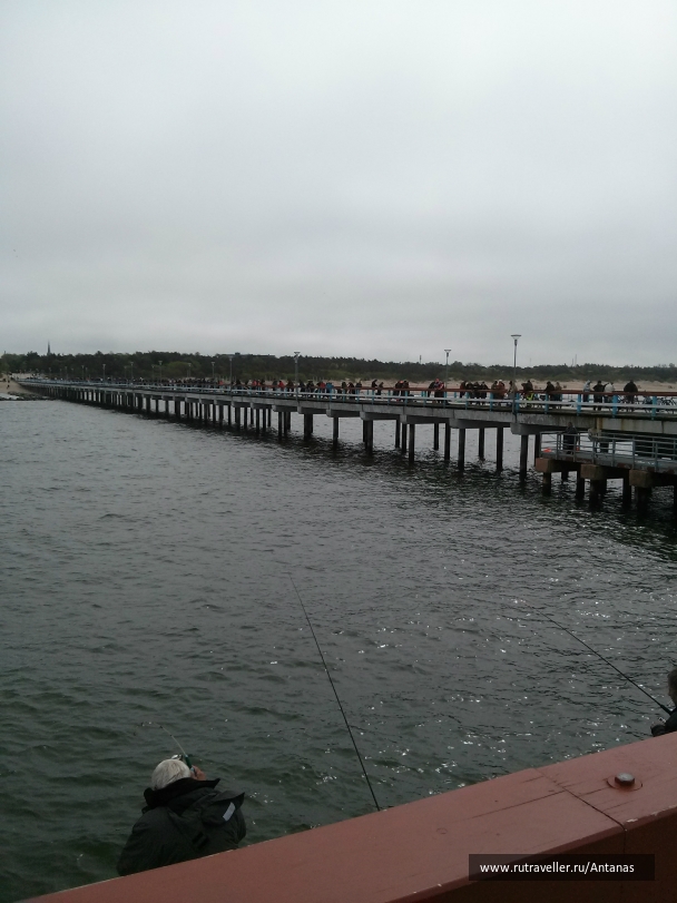 photo 737715