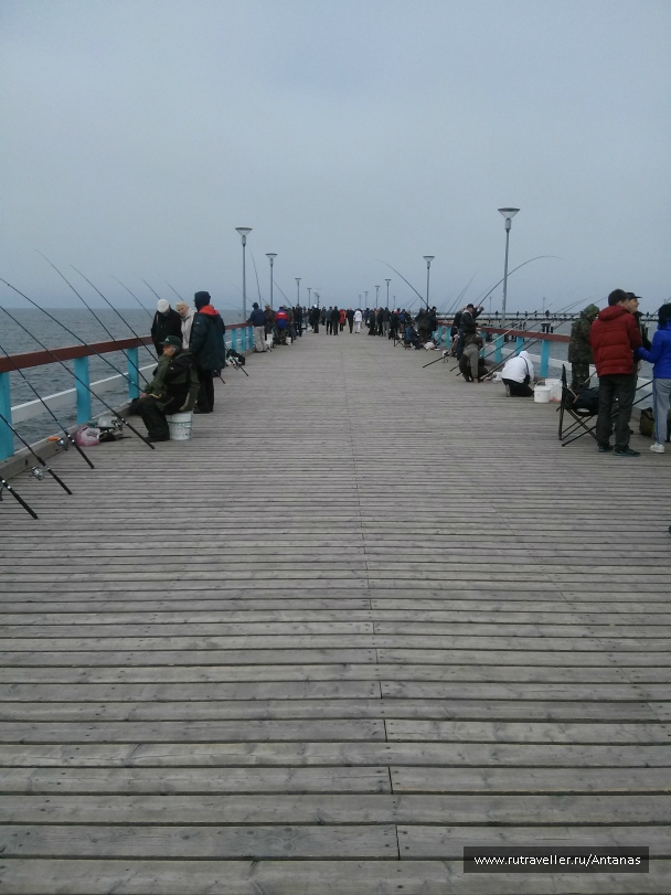 photo 737717