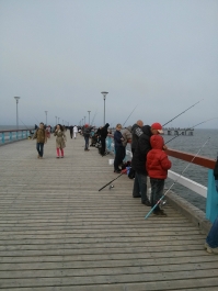 photo 737719