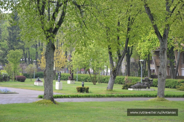 photo 739843