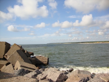photo 770274