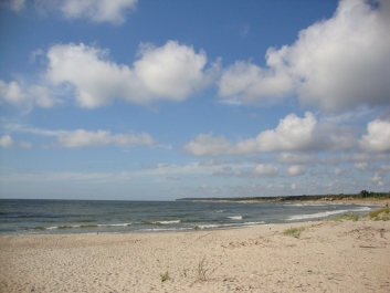 photo 770275