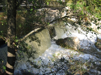 photo 773461