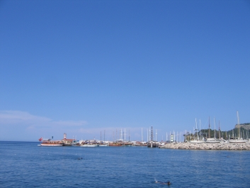 photo 802330