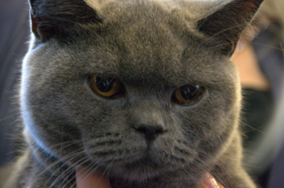 photo 697532