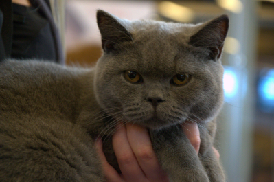 photo 697533