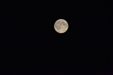 photo 828246