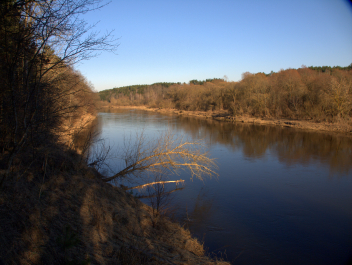 photo 999058