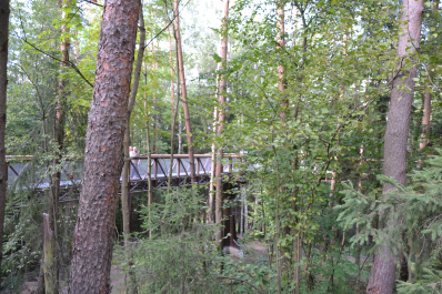 photo 1116740