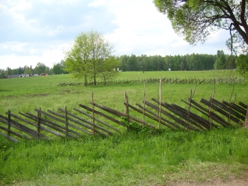 photo 774244