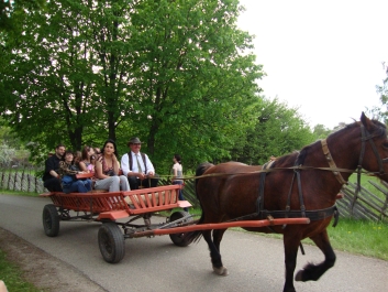 photo 774245