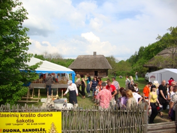 photo 774249