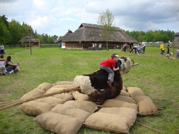 photo 774251