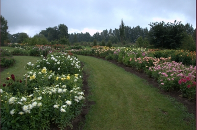 photo 775814