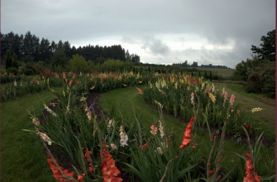 photo 775819