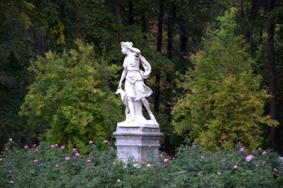 photo 775854