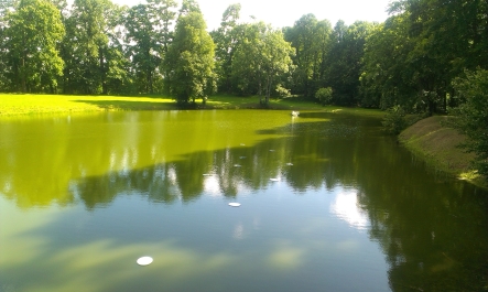 photo 778132