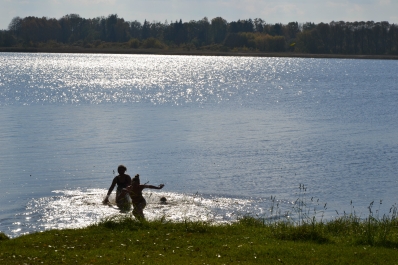 photo 877496