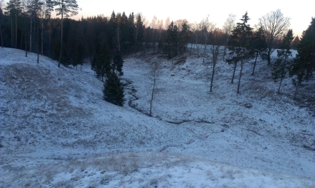 photo 962338